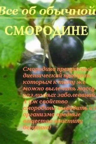 Обложка книги «Все об обычной смородине»