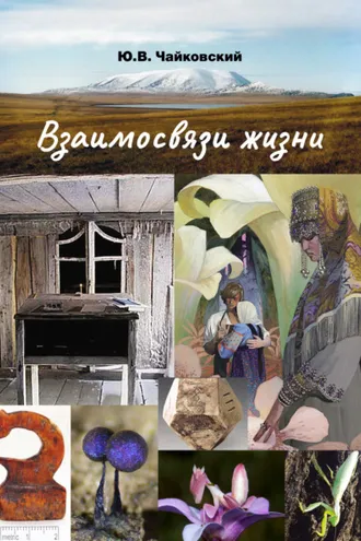Обложка книги «Взаимосвязи жизни. Мини-энциклопедия дополняет. Том 2. Р – Я и добавочные сведения»