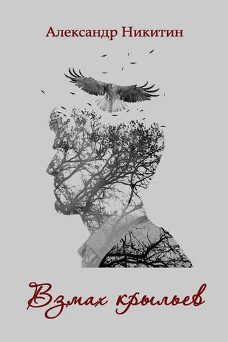 Обложка книги «Взмах крыльев»