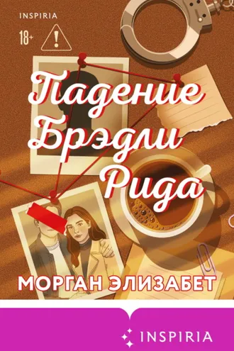 Обложка книги «Падение Брэдли Рида»