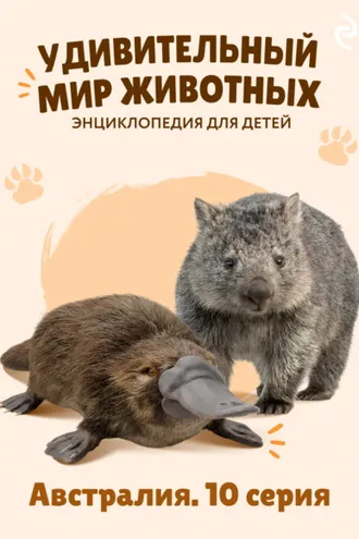 Обложка книги «Удивительный мир животных. Австралия. 10 серия»