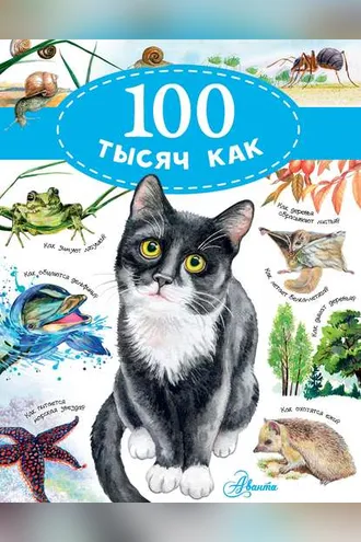 Обложка книги «100 тысяч как»