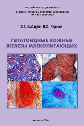 Обложка книги «Гепатоидные кожные железы млекопитающих»