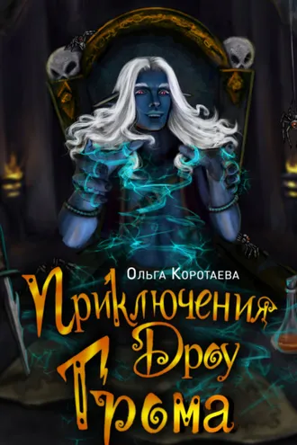 Обложка книги «Приключения дроу Грома»