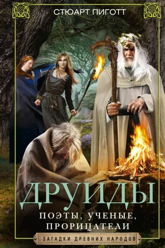 Обложка книги «Друиды. Поэты, ученые, прорицатели»