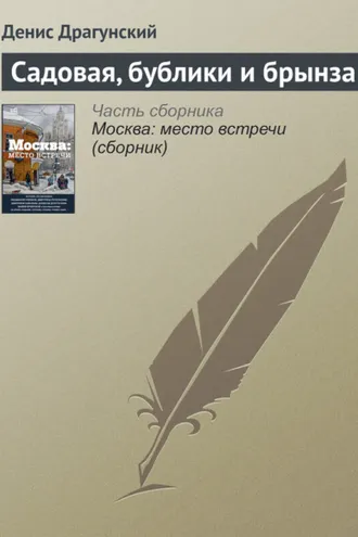 Обложка книги «Садовая, бублики и брынза»
