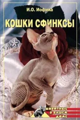 Обложка книги «Кошки – сфинксы»