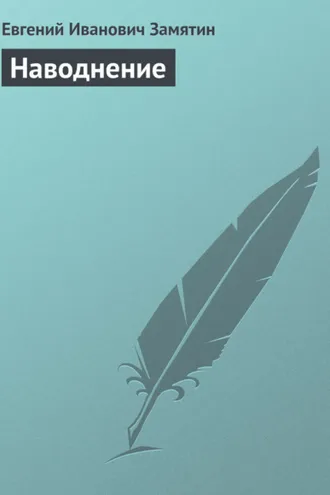 Обложка книги «Наводнение»
