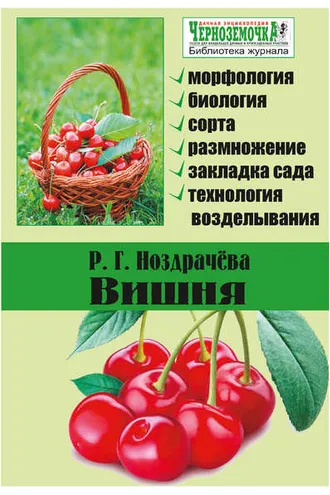 Обложка книги «Вишня»