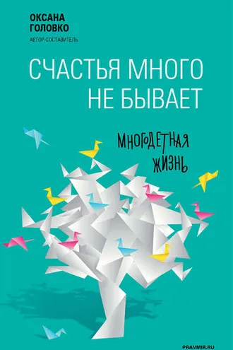 Обложка книги «Счастья много не бывает. Многодетная жизнь (сборник)»