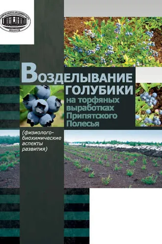 Обложка книги «Возделывание голубики на торфяных выработках Припятского Полесья»