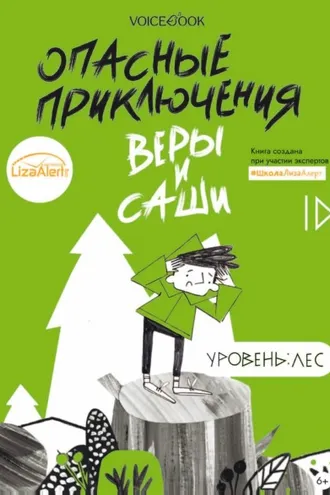 Обложка книги «Опасные приключения Веры и Саши. Уровень: Лес»