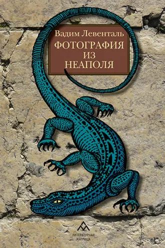 Обложка книги «Фотография из Неаполя»