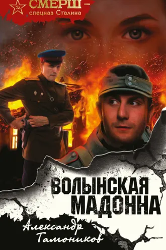 Обложка книги «Волынская мадонна»