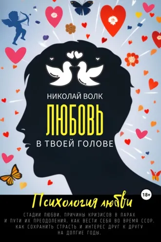 Обложка книги «Любовь в твоей голове. Психология любви. Стадии любви. Причины кризисов в парах и пути их преодоления. Как вести себя во время ссор. Как сохранить страсть и интерес друг к другу на долгие годы»