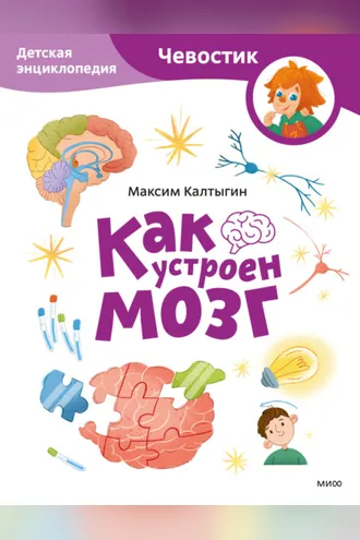 Обложка книги «Как устроен мозг. Детская энциклопедия»