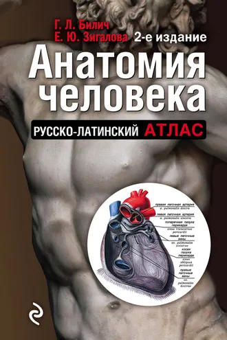 Обложка книги «Анатомия человека. Русско-латинский атлас»