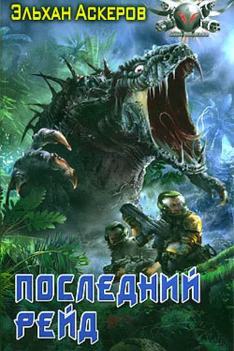 Обложка книги «Последний рейд»