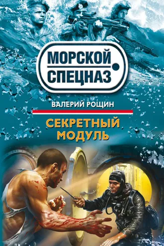 Обложка книги «Секретный модуль»
