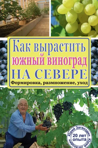 Обложка книги «Как вырастить южный виноград на севере»