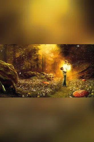 Обложка книги «Вино из одуванчиков»