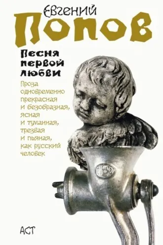 Обложка книги «Песня первой любви»