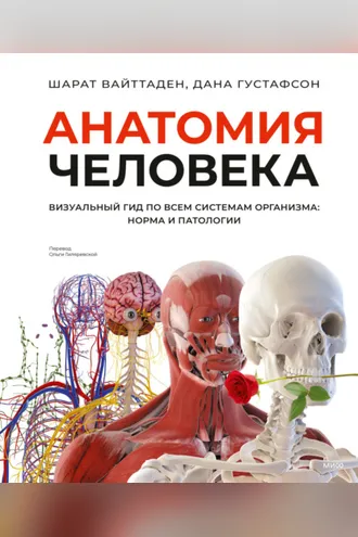 Обложка книги «Анатомия человека. Визуальный гид по всем системам организма: норма и патологии»