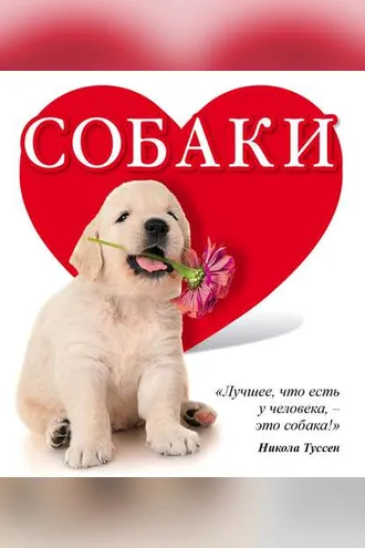 Обложка книги «Собаки»