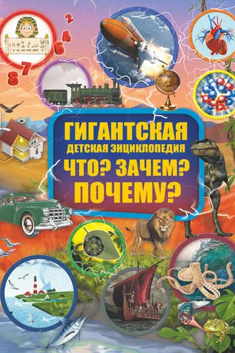 Обложка книги «Что? Зачем? Почему?»