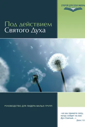 Обложка книги «Под действием Святого Духа. Руководство для лидера малых групп»