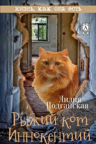 Обложка книги «Рыжий кот Иннокентий»