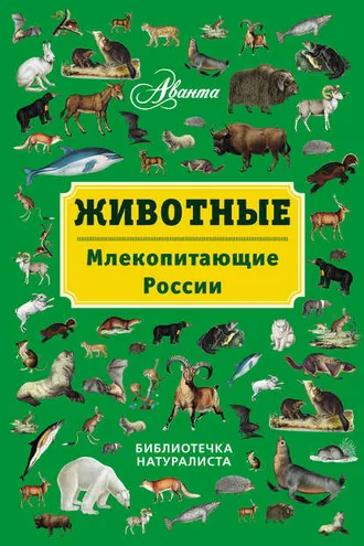 Обложка книги «Животные. Млекопитающие России»