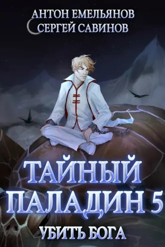 Обложка книги «Тайный паладин 5. Убить бога»