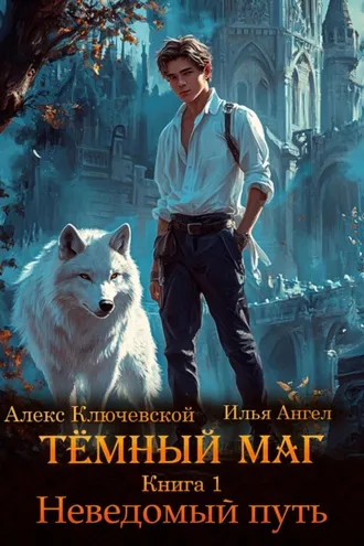 Обложка книги «Тёмный маг. Книга 1. Неведомый путь»
