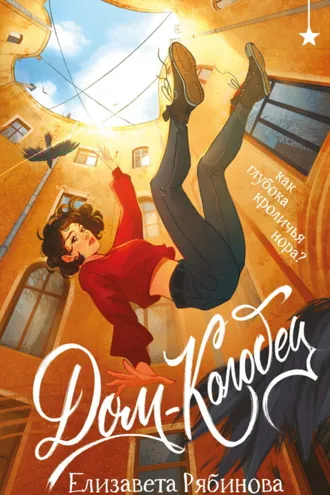 Обложка книги «Дом-колодец»