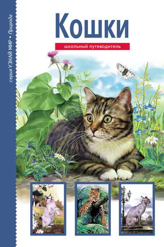 Обложка книги «Кошки»