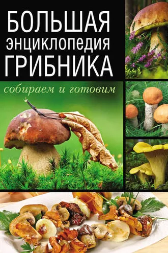 Обложка книги «Большая энциклопедия грибника. Собираем и готовим»