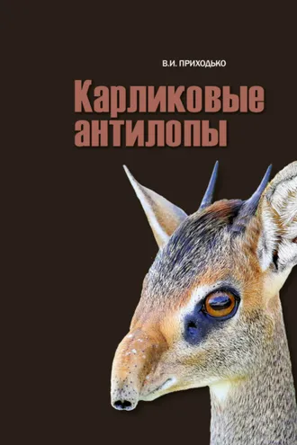 Обложка книги «Карликовые антилопы (Neotragini)»