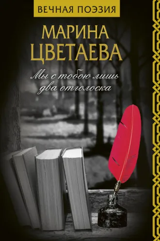Обложка книги «Мы с тобою лишь два отголоска»