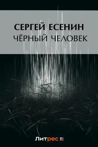 Обложка книги «Черный человек»