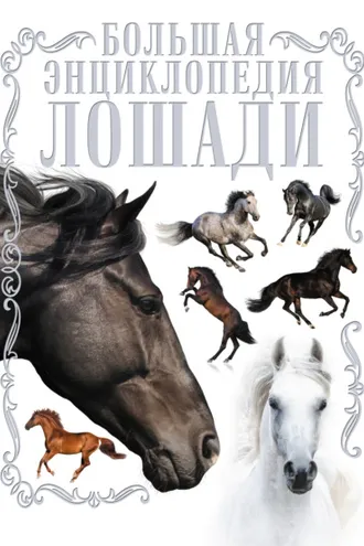 Обложка книги «Лошади. Большая энциклопедия»