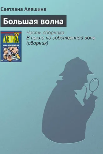 Обложка книги «Большая волна»