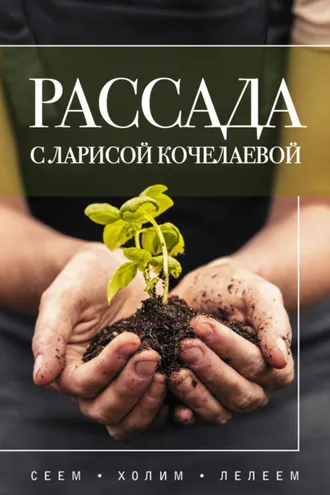 Обложка книги «Рассада с Ларисой Кочелаевой. Сеем, холим и лелеем»