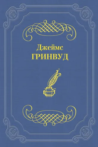 Обложка книги «Маленький оборвыш»