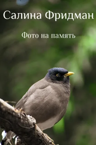 Обложка книги «Фото на память»