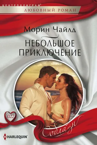 Обложка книги «Небольшое приключение»