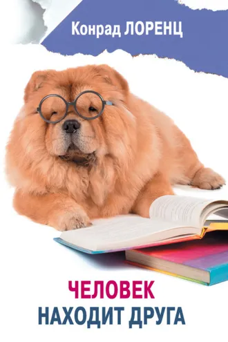 Обложка книги «Человек находит друга»