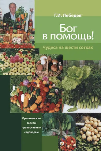 Обложка книги «Бог в помощь. Чудеса на шести сотках»