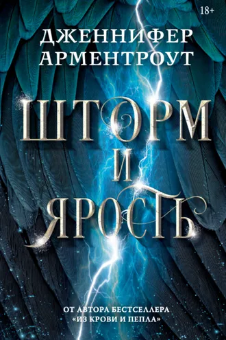 Обложка книги «Шторм и ярость»