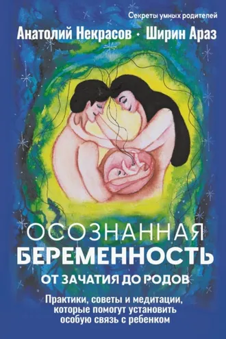 Обложка книги «Осознанная беременность от зачатия до родов. Практики, советы и медитации, которые помогут установить особую связь с ребенком»